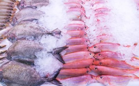 这5种淡水鱼值得多吃！高DHA、EPA，好买又便宜